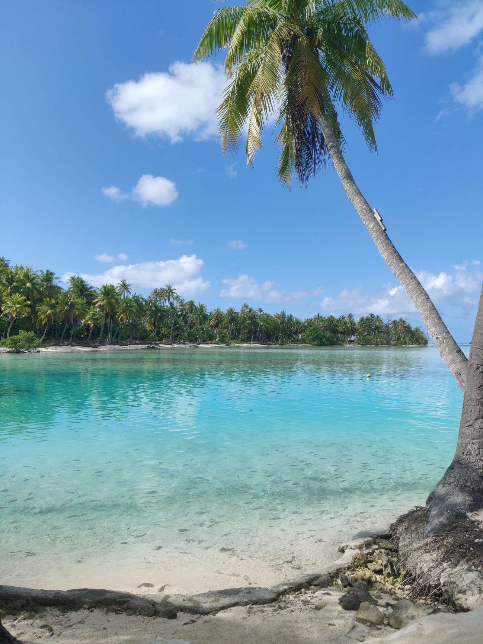 rangiroa
