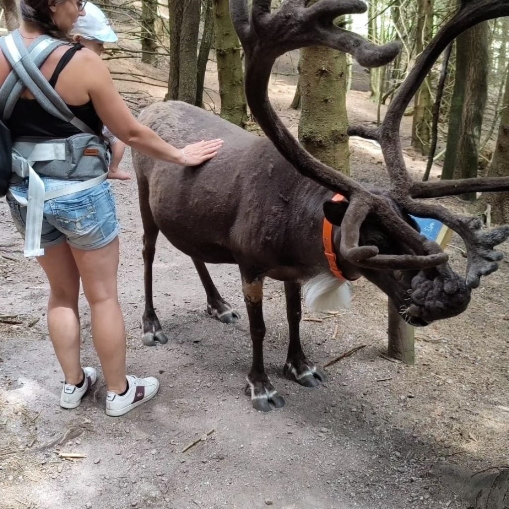 ALT" photo de mon fils et moi en Alsace avec un renne"