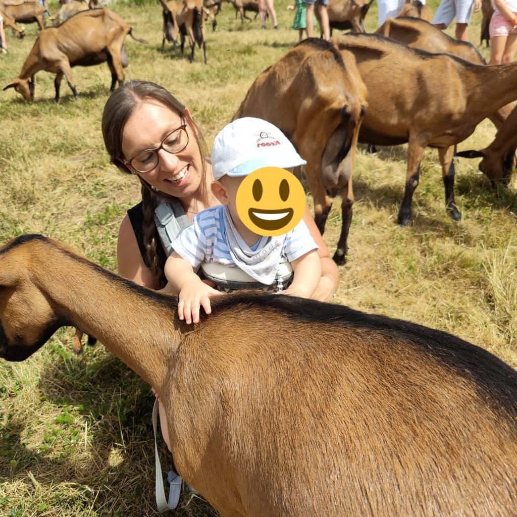 ALT" photo de mon fils et moi dans les Vosges avec des brebis"